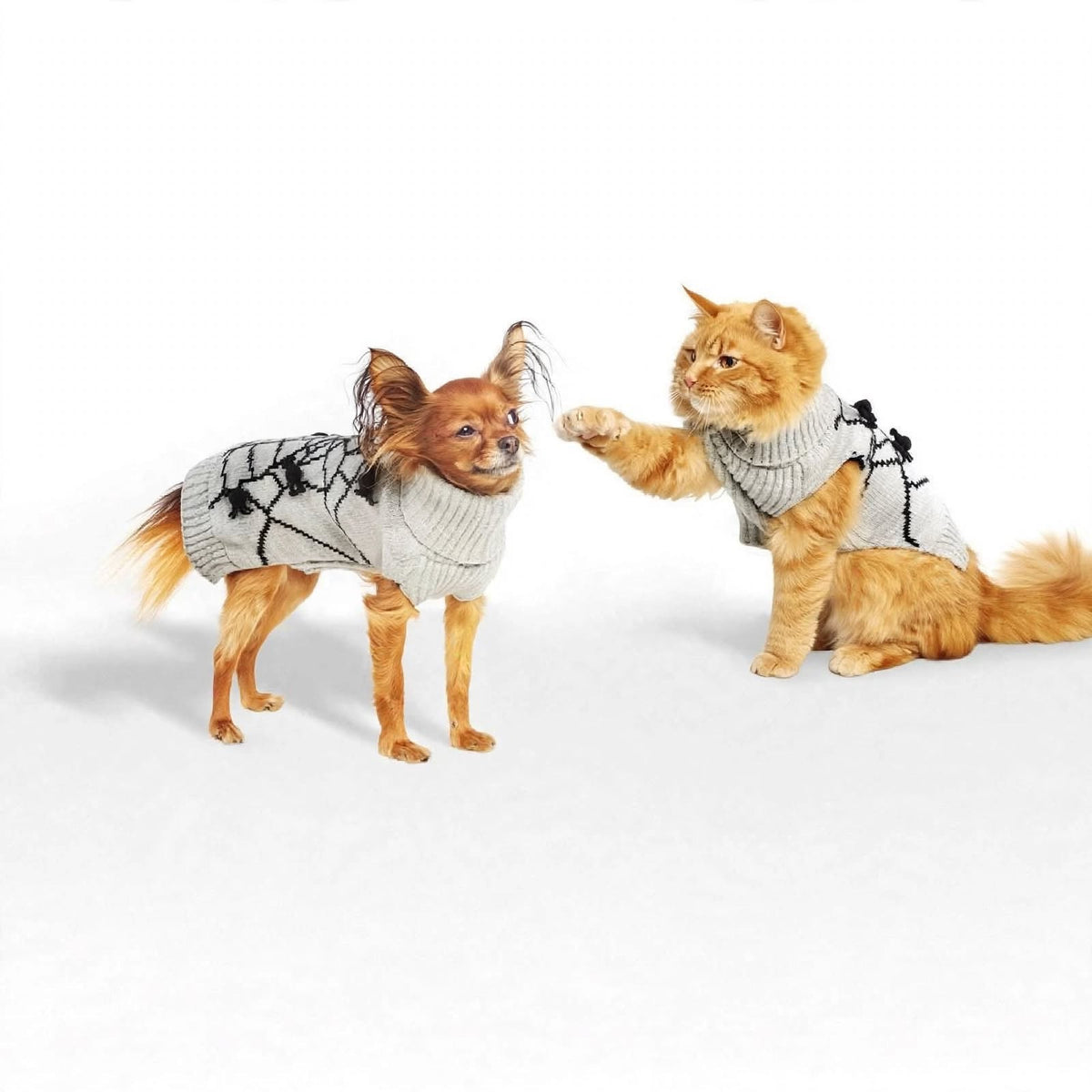 Halloween Pom Pom Spider Cat and Dog Sweater – Hyde & EEK! Boutique™